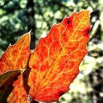 Marc Hudson - @hudson.marc - Instagram