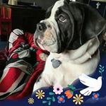 @marc_huffman - Instagram