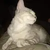 Marcia Hutton - @marcia.hutton1 - TikTok