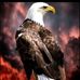 Marc Jefferson - Facebook