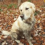 Marc_keating - @marc_keating4 - Instagram