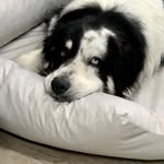 Marcus Kempf - @marcus.kempf - Instagram