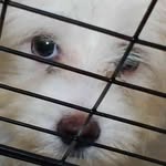 Marc Kendrick Salvaña - @marckendricksalvana - Instagram