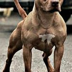 Marc Kidd - @marc.kidd.313 - Instagram