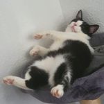 Marc Kiefer - @marckiefer0 - Instagram