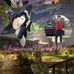Marc King - Facebook
