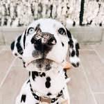 @marckingstonok - Instagram