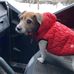 Marc Kleiman - Facebook