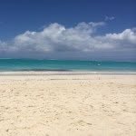 Mark Kornblau - @mark.kornblau - Instagram