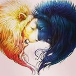 Marc Kutter - @marc_kut - Instagram