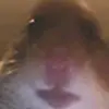 Mark - @marckutter - TikTok