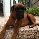@marckwok - Instagram