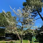 Marc Labbé - @marc__mg2 - Instagram