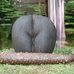Marcus Labonte - Facebook