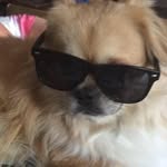 Marc Laborde - @marc70 - Instagram
