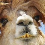 Marc Labranche - @labranchemarc - Instagram