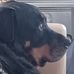 Marcellaise Labrosse - Facebook