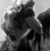 Marc Lampe - Facebook