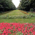 Marc Laporte - @laporte4721 - Instagram