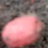 Marc Lara - @marc.lara11 - TikTok