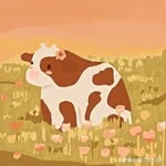 Maria Clara - @marclara8237 - Instagram