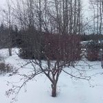 Marc Larose - @marc.larose.9275 - Instagram