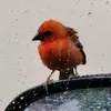 Marcus larose - @marcus.larose - TikTok
