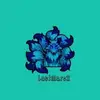 LastMarc X - @lastmarcx - TikTok