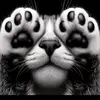 Marcus Latimer - @marcus.latimer - TikTok