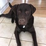 Marc Lavigne - @maclavigne - Instagram