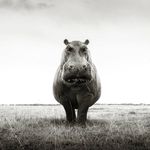 Marc Lavigne Delville - @marc_lavigne_delville - Instagram
