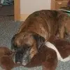 Marc Clawson - @marc.clawson8 - TikTok