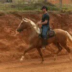 Haras MLS - Guapė MG - @marc.leandro - Instagram