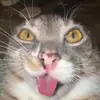 marc:) - @marc.lebron4 - TikTok