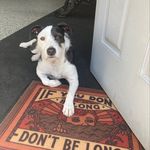 Marc Lehman - @marc_lehman - Instagram