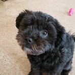Marcie Leishman - Facebook