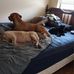 Leland Marcus - Facebook