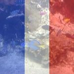 Jean-marc Lemaitre - @lemaitrejeanmarc - Instagram