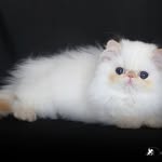 Marc Lemaitre - @marc.lemaitre2025 - Instagram