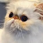 Marc Lemaitre - @lemaitre_marc - Instagram