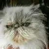 titi - @marclemaitre6 - TikTok