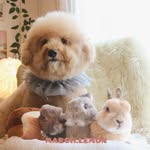 🤎💛🧡🤍march.lemon.cotton.sugar（yun.ゆん） - @march.lemon - Instagram