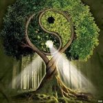 Marc Lenoir - @marc_lenoir80 - Instagram