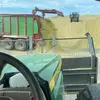 Marc Rentsch - @marcrentsch - TikTok