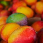 Pintro Marclentz - @pintromarclentz - Instagram