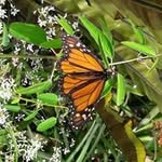 Marc Lenzke - @marclenzke - Instagram