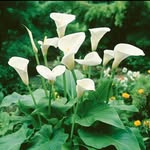 Marc Lilley Landscapes - @marc_lilley_landscapes - Instagram