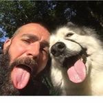 Marc Lindsay - @high_action_horses - Instagram