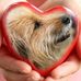 Marcel Link - Facebook