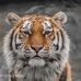 Marc Lister Photography - Facebook
